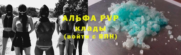 крисы Белокуриха