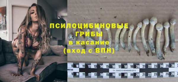 ALPHA PVP Богородицк