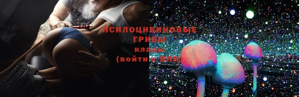 прущие крисы Богородск