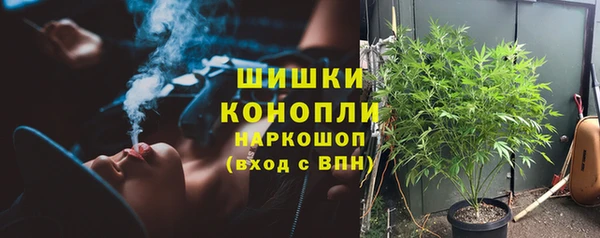 крисы Белокуриха